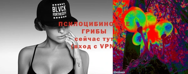 ГАЛЛЮЦИНОГЕННЫЕ ГРИБЫ Абаза