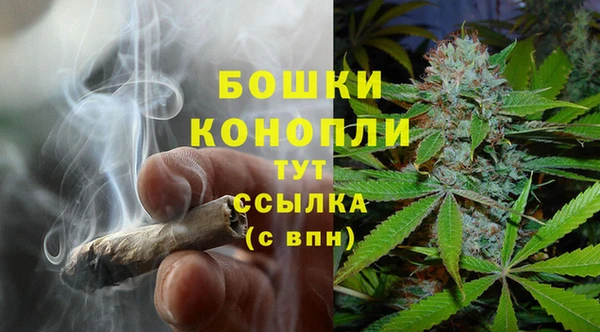ГАЛЛЮЦИНОГЕННЫЕ ГРИБЫ Абаза