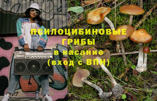 ГАЛЛЮЦИНОГЕННЫЕ ГРИБЫ Абаза