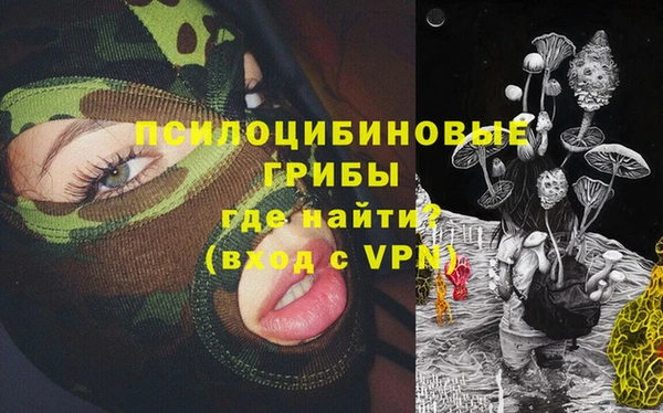 ГАЛЛЮЦИНОГЕННЫЕ ГРИБЫ Абаза