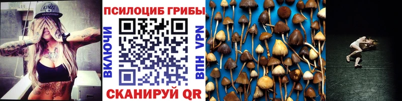 Галлюциногенные грибы Psilocybine cubensis  как найти закладки  Невельск 